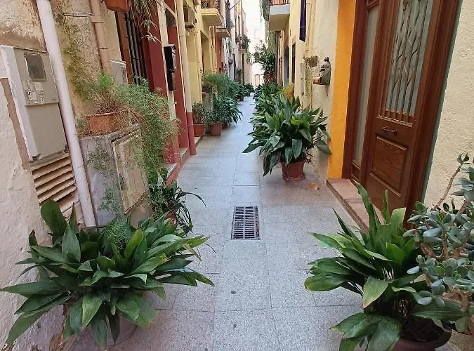 Happy Place * 캠브릴스